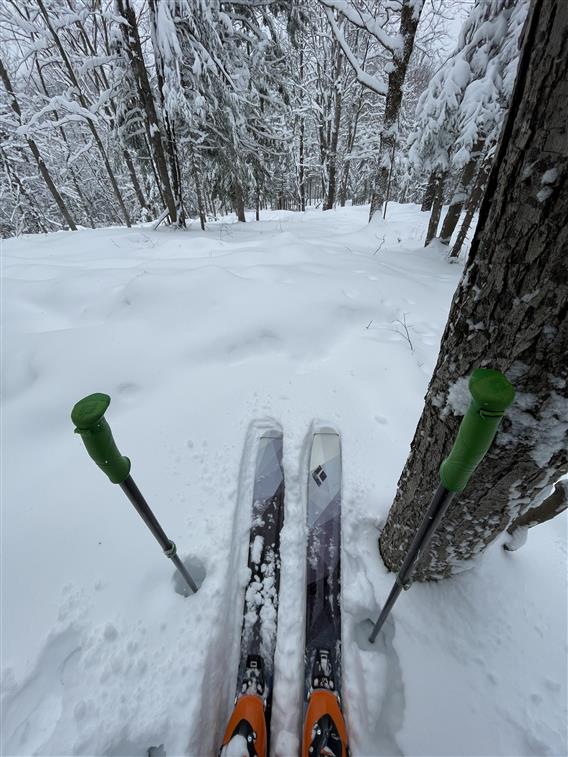 Ski de montagne - Parc régional de la forêt Ouareau - 2