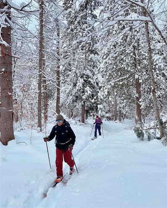 Ski de montagne - Parc régional de la forêt Ouareau - 4