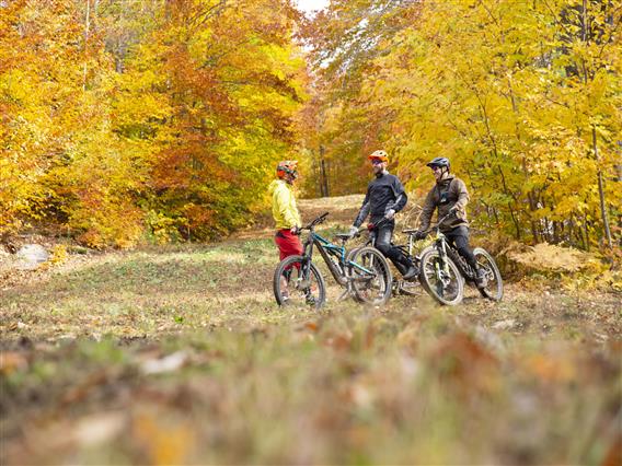 Vélo de montagne 2