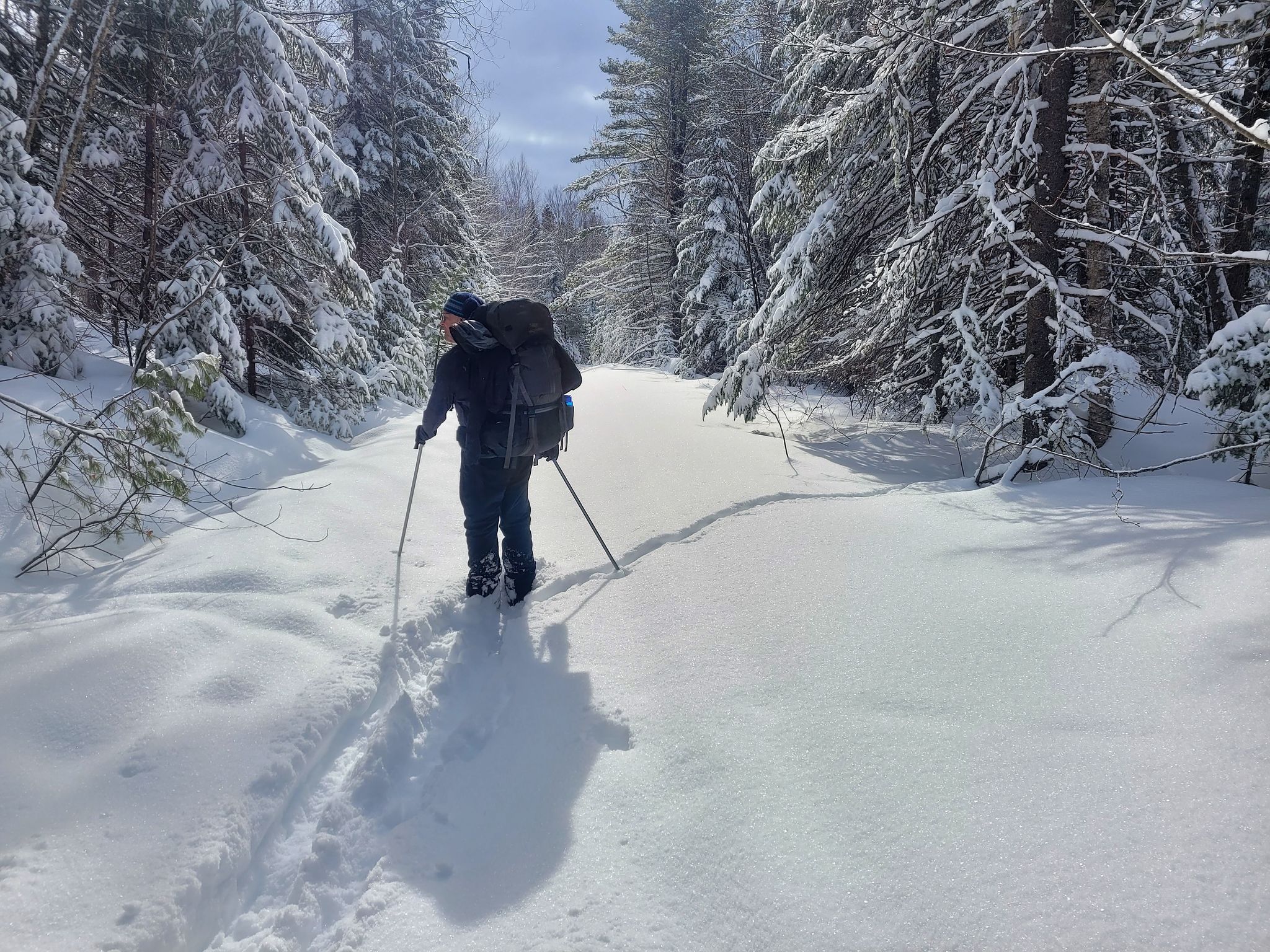 ski nordique secteur lac Mac Laren