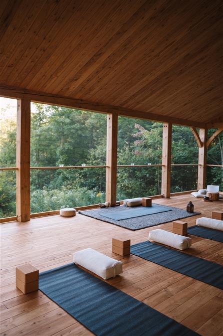 Studio Nature  (&copy;Coconutlulaby)