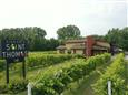 Vignoble Saint-Thomas