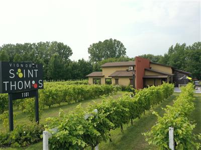 Vignoble Saint-Thomas
