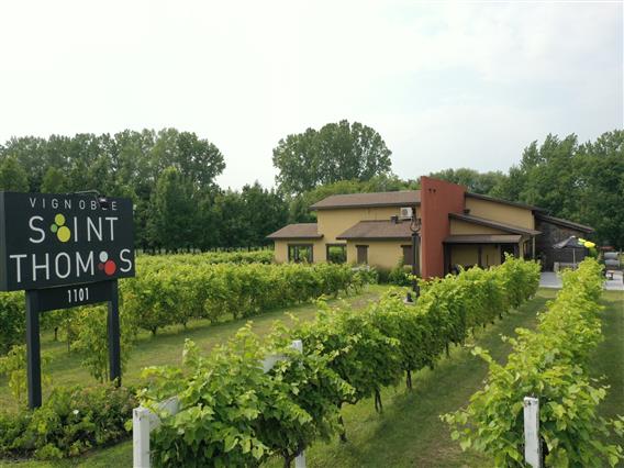  Vignoble Saint-Thomas