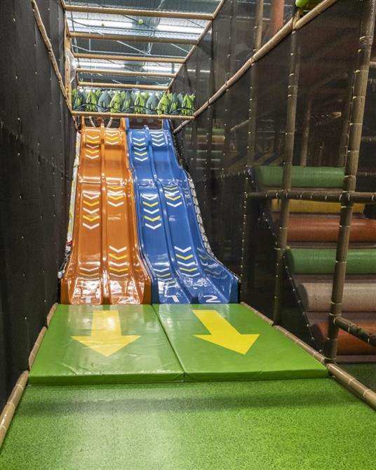 Ô z'accros singes (&copy;Ô z'accros singes)