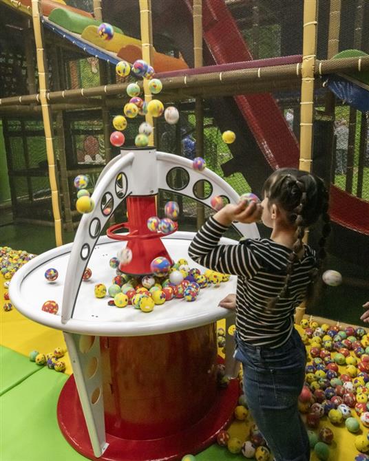 Ô z'accros singes (&copy;Ô z'accros singes)