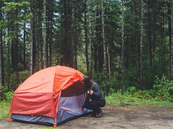 Camping en forêt